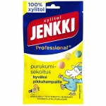 Жевательная резнка ассорти Jenkki Professional 70 гр